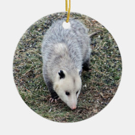 Opossum-Foto Keramik Ornament