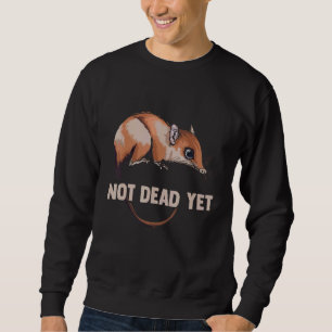 Opossum für Fake-Katze-Ratte-und-Waschbär-Designs Sweatshirt