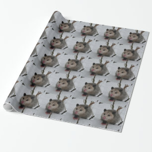 Opossum Geschenkpapier