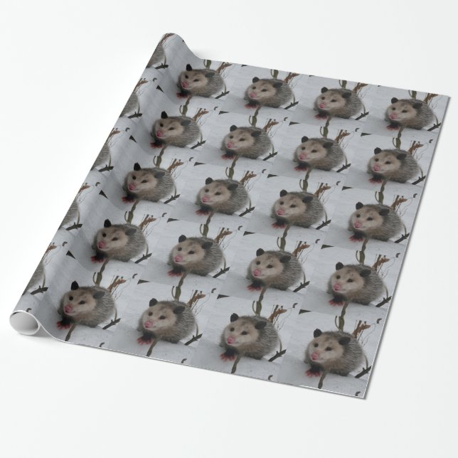 Opossum Geschenkpapier (Ungerollt)