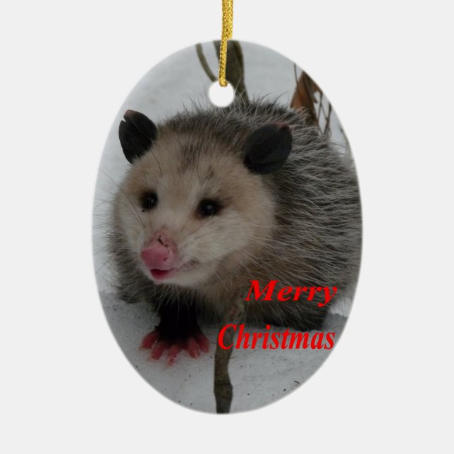 Opossum Keramikornament (Vorne)