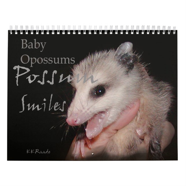 Opossum-Lächeln Kalender (Titelbild)