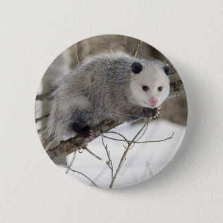 Opossum-Liebe Button