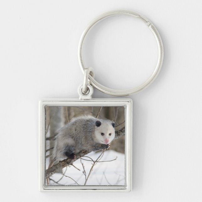 Opossum-Liebe Schlüsselanhänger (Vorne)