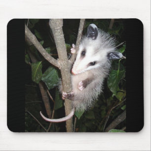 Opossum-Mausunterlage Mousepad