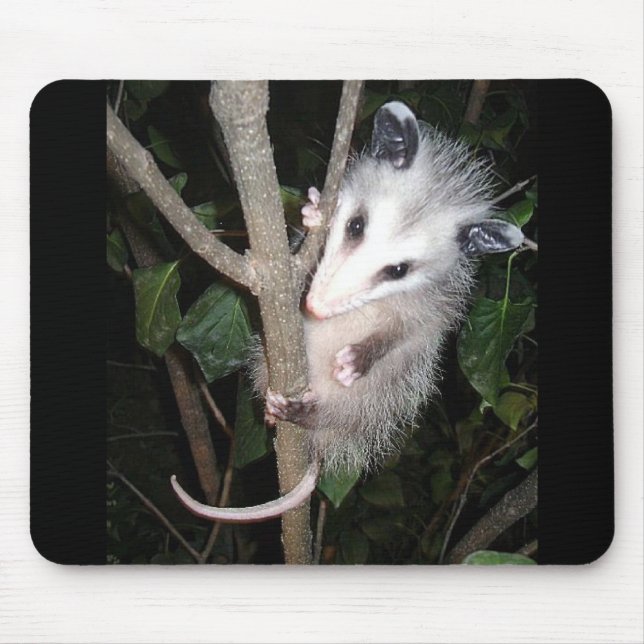 Opossum-Mausunterlage Mousepad (Vorne)