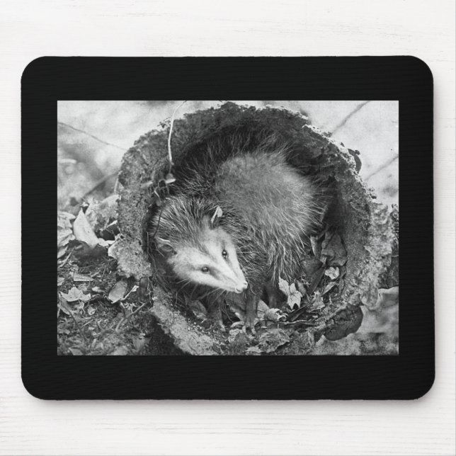 Opossum Mousepad (Vorne)