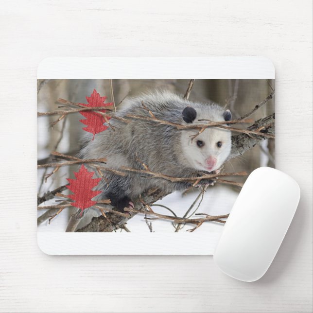 Opossum Nature White Mouse Pad! Mousepad (Mit Mouse)