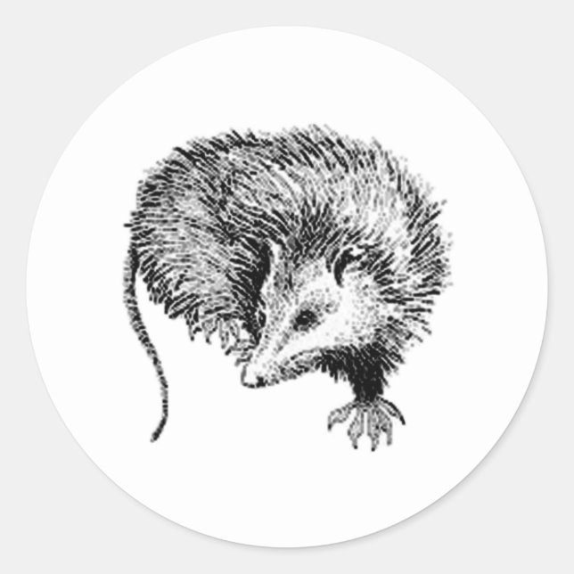 Opossum Runder Aufkleber (Vorderseite)