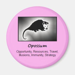 Opossum Totem Animal Spirit Magnet