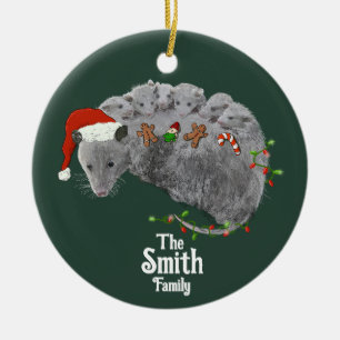 Opossum-Weihnachtsbaby-Opossums in Lichter gewicke Keramik Ornament