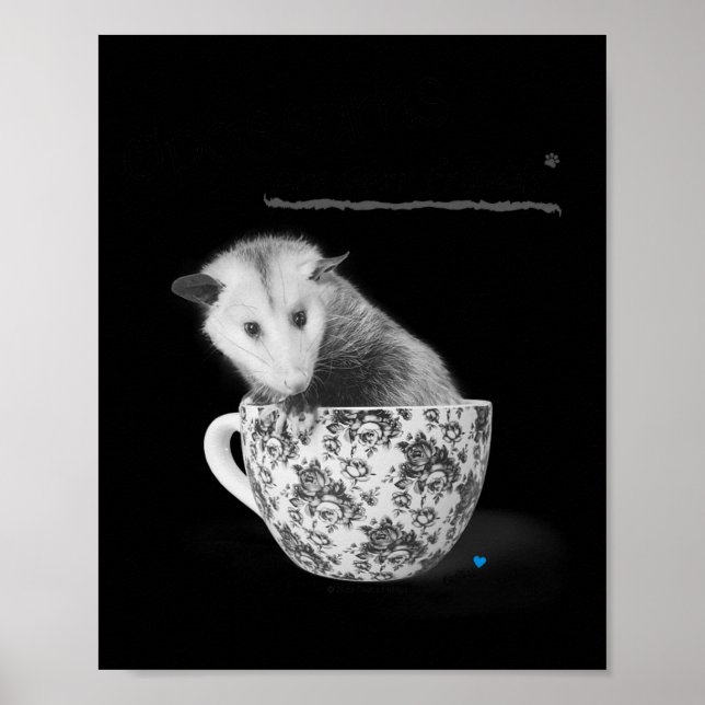 Opossummen sind deine Freunde Poster (Vorne)