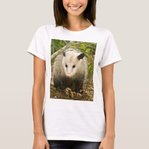 Opossums sind - Opossum Didelphimorphia hübsch T-Shirt