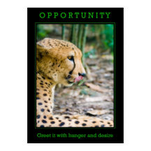 Opportunity Poster