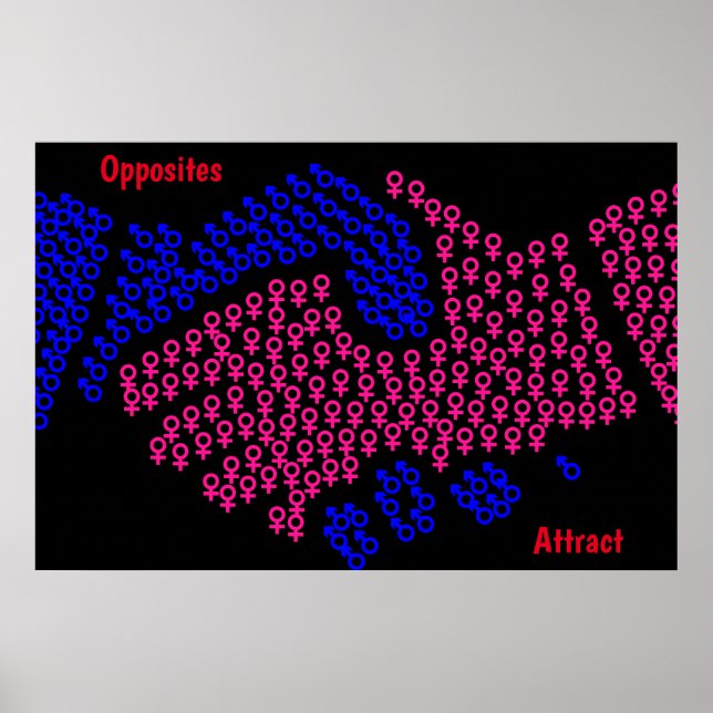 Opposites Attract Poster (Vorne)