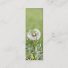 Optimismus-dünne Visitenkarte