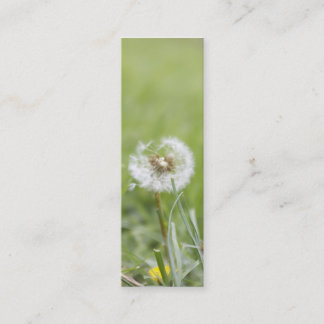 Optimismus-dünne Visitenkarte