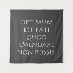 Optimum est pati quod emendare non posa wandteppich