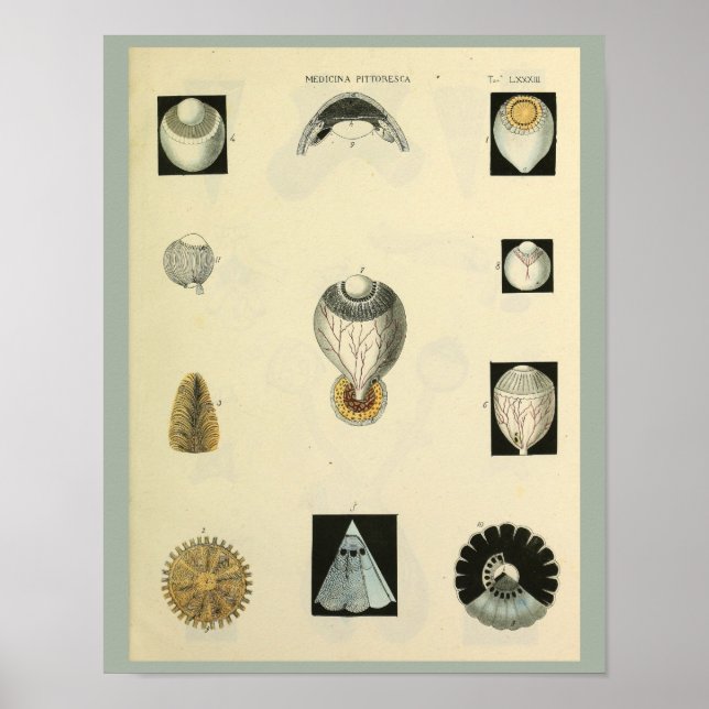 Optometrie Augenanatomie Medizin Kunst Druck Poster (Vorne)