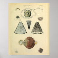 Optometrie Augenanatomie Medizin Kunst Druck