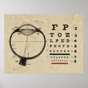 Optometrie Poster Augenarzt Augenprüfungsbild