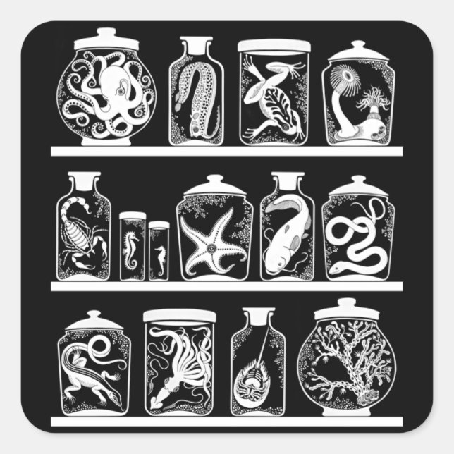 OPUS-Kuriositätskabinett Quadratischer Aufkleber (Vorderseite)