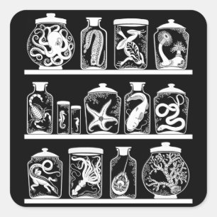 OPUS-Kuriositätskabinett Quadratischer Aufkleber