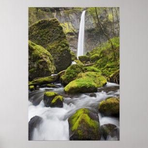 OR, Columbia River Gorge, Elowah Falls und Poster