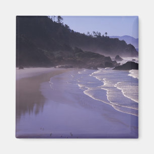 OR, Ecola SP, Indian Beach mit Morgennebel Magnet