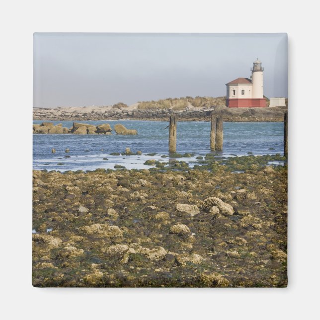 OR, Oregon Coast, Bandon, Coquille River Magnet (Vorne)
