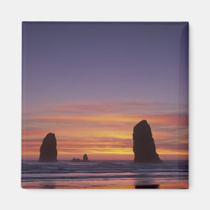 OR, Oregon Coast, Cannon Beach, Meeresfrüchte Magnet
