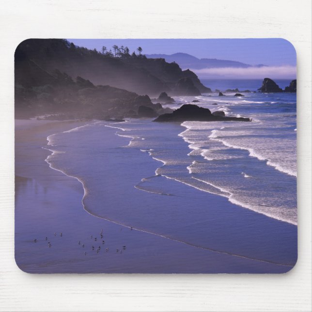 OR, Oregon Coast, Ecola SP, Indian Beach mit Mousepad (Vorne)