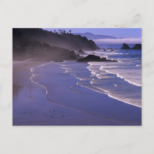 OR, Oregon Coast, Ecola SP, Indian Beach mit Postkarte