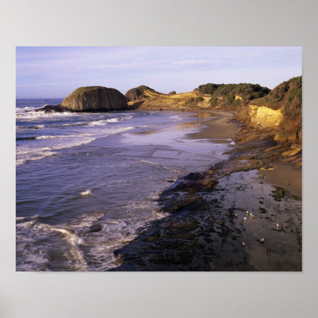 OR, Oregon Coast, Newport, Küstenlinie am Siegel Poster (Vorne)