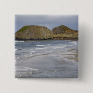 OR, Oregon Coast, Siegel Rock Staat Park, Button