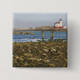 OR, Oregon-Küste, Bandon, Coquille River Button