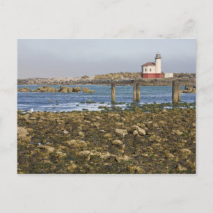 OR, Oregon-Küste, Bandon, Coquille River Postkarte