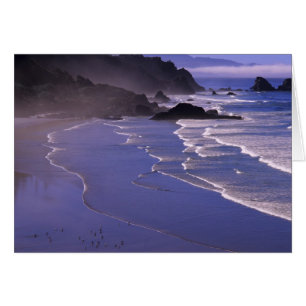 OR, Oregon-Küste, Ecola SP, Indian Beach mit