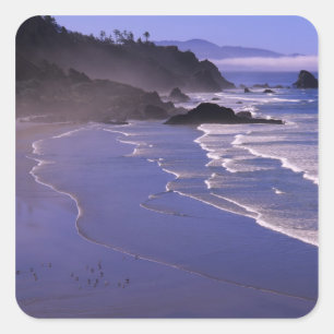 OR, Oregon-Küste, Ecola SP, Indian Beach mit Quadratischer Aufkleber