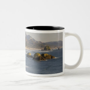 OR, Oregon-Küste, Ecola State Park, Blick auf 2 Zweifarbige Tasse