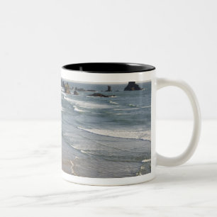 OR, Oregon-Küste, Ecola State Park, Indian Zweifarbige Tasse