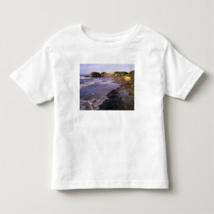 OR, Oregon-Küste, Newport, Küstenlinie bei Seal Kleinkind T-shirt