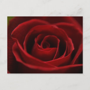 Oral rote Postkarte