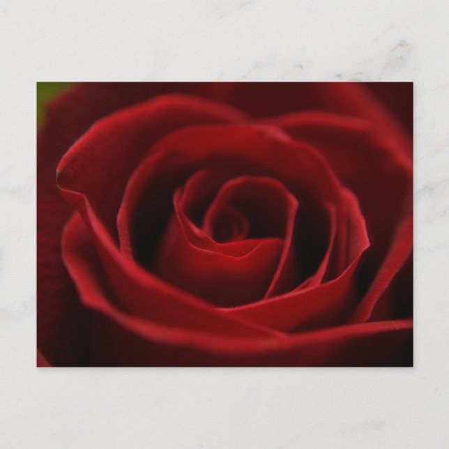 Oral rote Postkarte (Vorderseite)