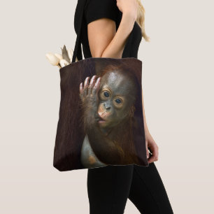 Orang-Utan