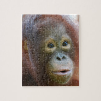 Orang-Utan auf Insel von Borneo Puzzle