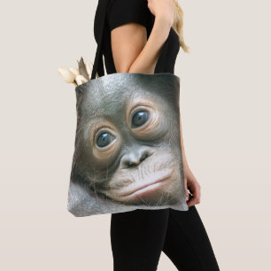 Orang-Utan Baby, das seiner Mutter anhaftet