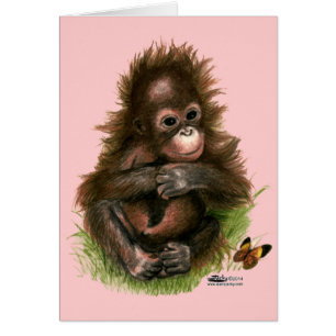 Orang-Utan-Baby und Schmetterling