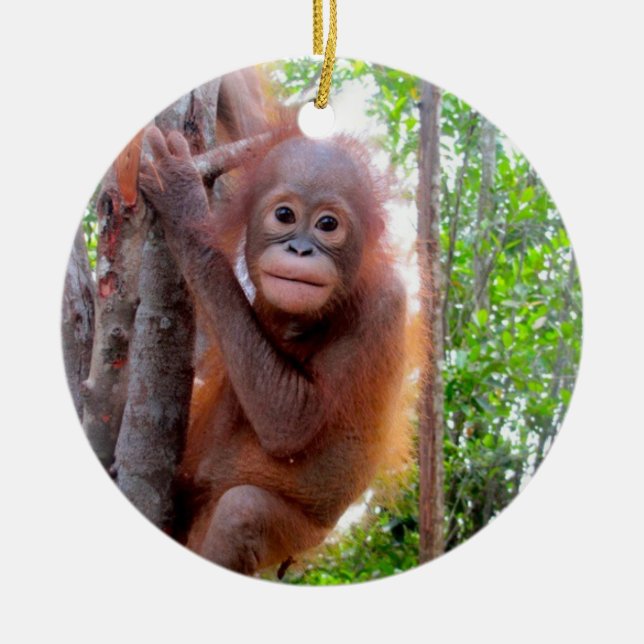 Orang-Utan Baby Uttuh Keramik Ornament (Vorne)