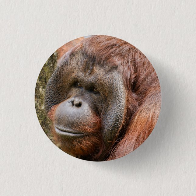 Orang-Utan Button (Vorderseite)